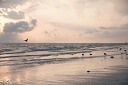 NK2014-03-21_8222-37.jpg