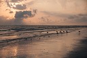 NK2014-03-21_8225-39.jpg