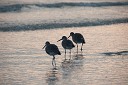 NK2014-03-21_8226-40.jpg
