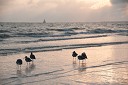NK2014-03-21_8227-41.jpg