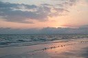 NK2014-03-21_8245-48.jpg