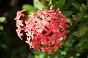 NK2014-03-25_8257-50.jpg