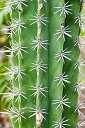 NK2014-03-25_8266-52.jpg