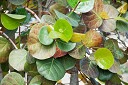 NK2014-03-25_8268-53.jpg