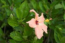 NK2014-03-25_8269-54.jpg