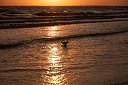 NK2014-03-25_8350-78.jpg