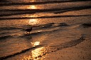 NK2014-03-25_8363-80.jpg