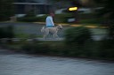 NK2014-03-25_8398-90.jpg