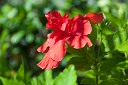 NK2014-03-26_8401-92.jpg