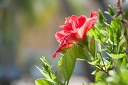NK2014-03-26_8404-93.jpg